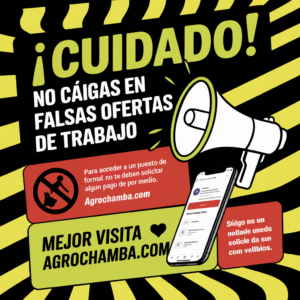 Imagen de estafas laborales