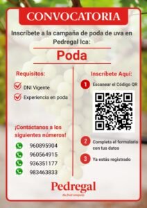 trabajo-pedregal-poda