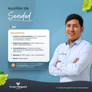 vanguard-trabajo