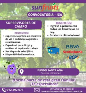 convocatoria trabajo campo