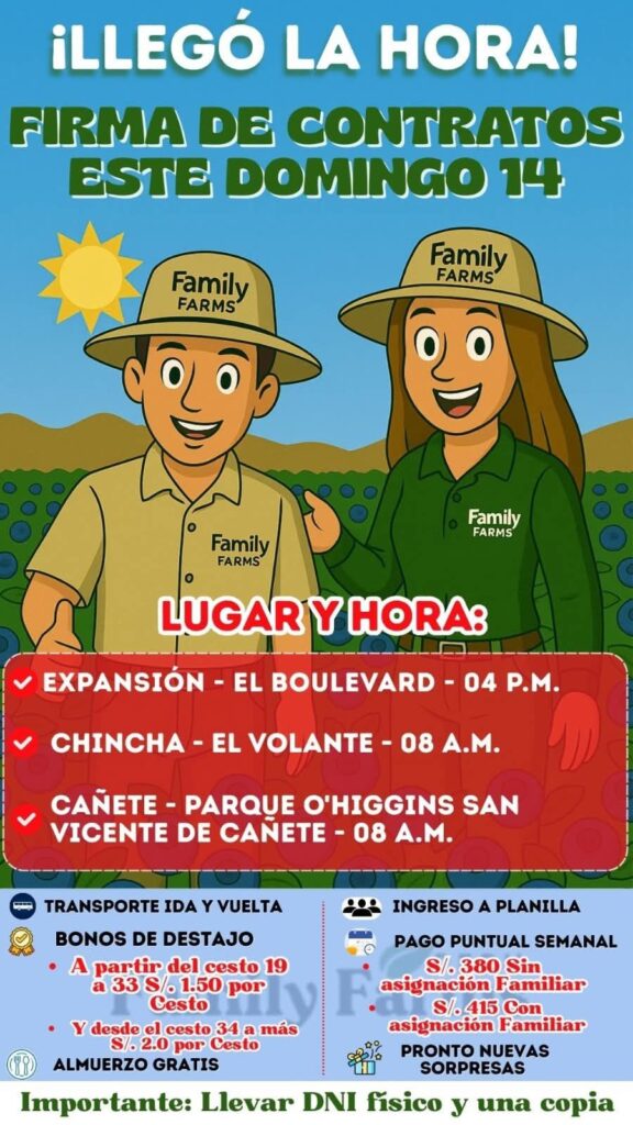 cosecha-arandanos-ica-family-farms-contrato