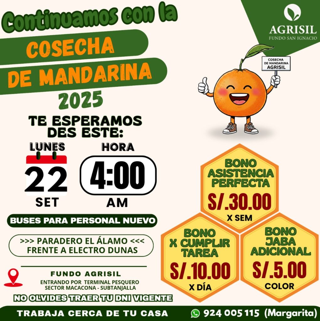 cosecha-citrico-mandarina-agrisil