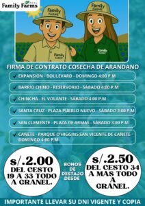 family-farms-cosecha-arandanos