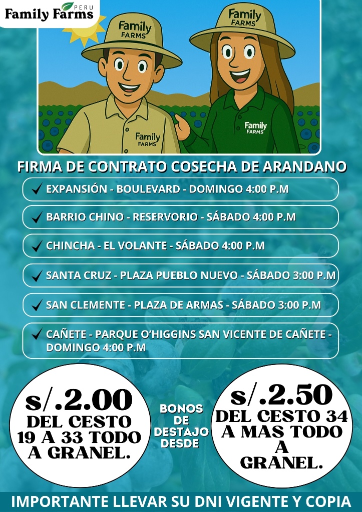 family-farms-cosecha-arandanos