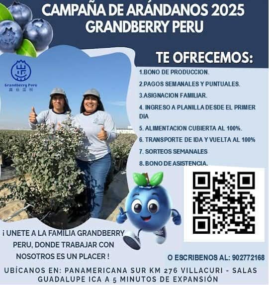 Anuncio Grandberry para la cosecha de arandanos