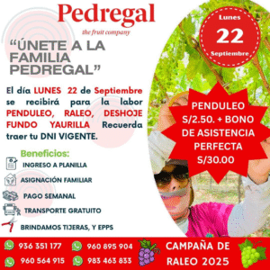 raleo-pedregal