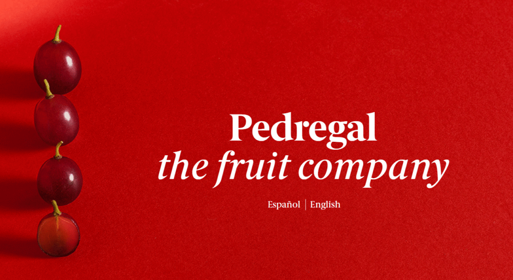 pedregal aplicador manual