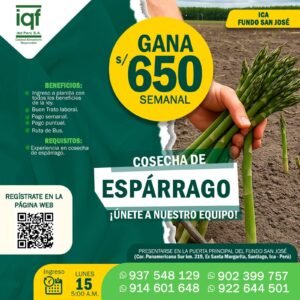 iqf-esparrago-ica