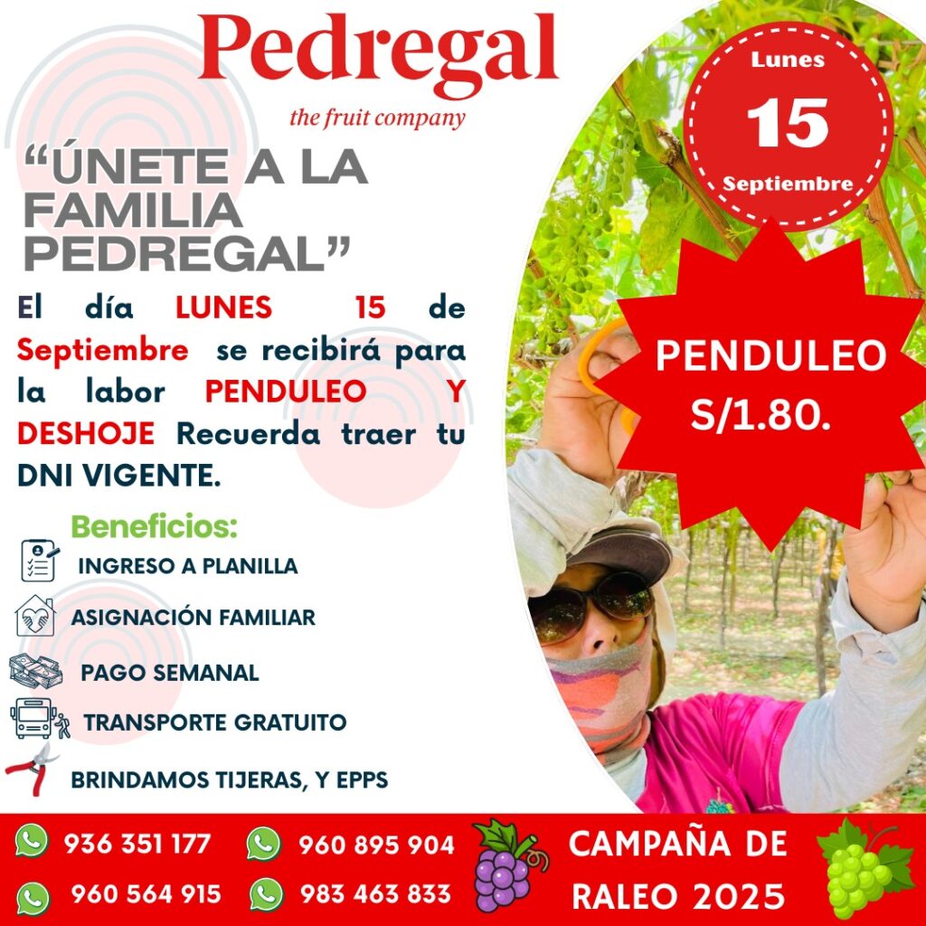penduleo-desbrote-deshoje-pedregal-ica
