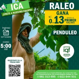 imagen de raleo en iqf