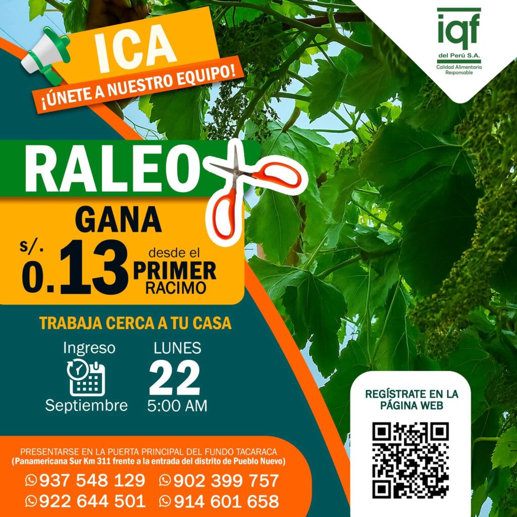 raleo-uva-iqf-ica