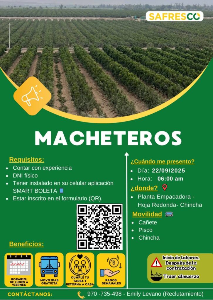 safresco-cosecha-citricos-chincha