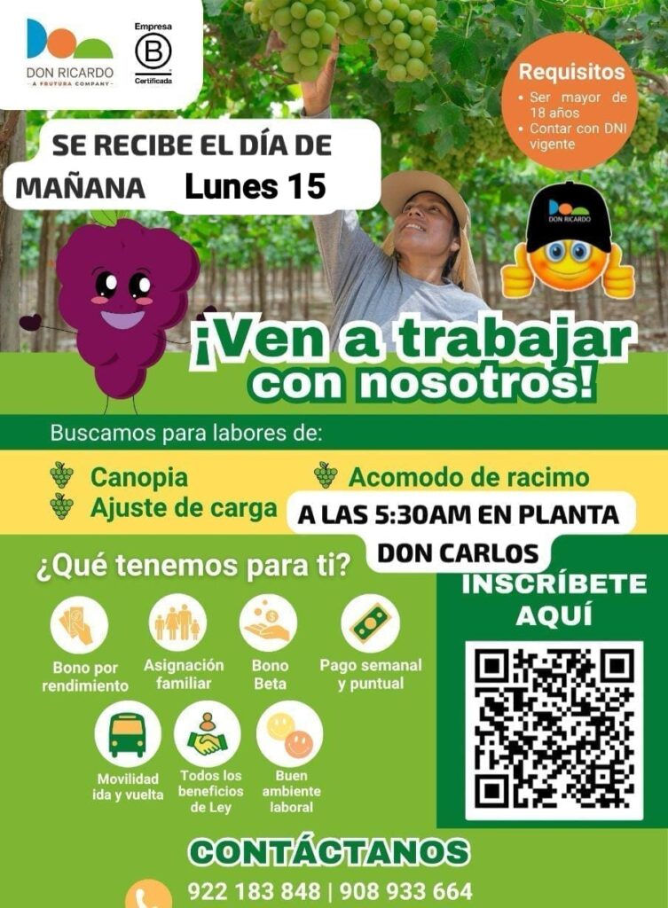 trabajar-don-ricardo-don-carlos-2025