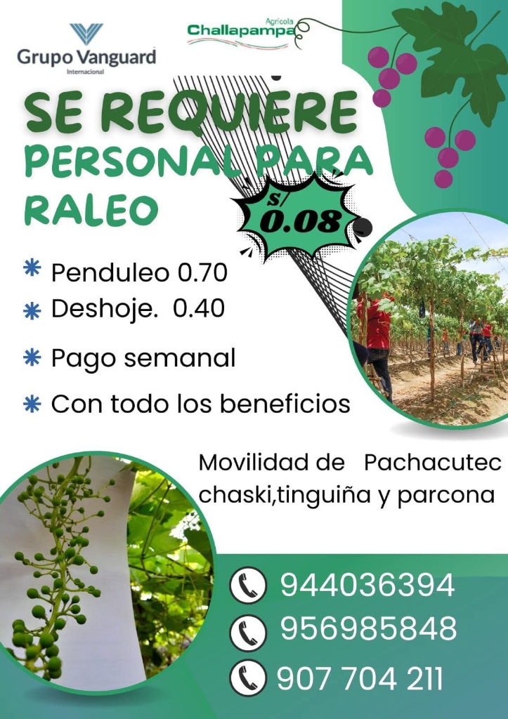 vanguard-penduleo-agricola-2025