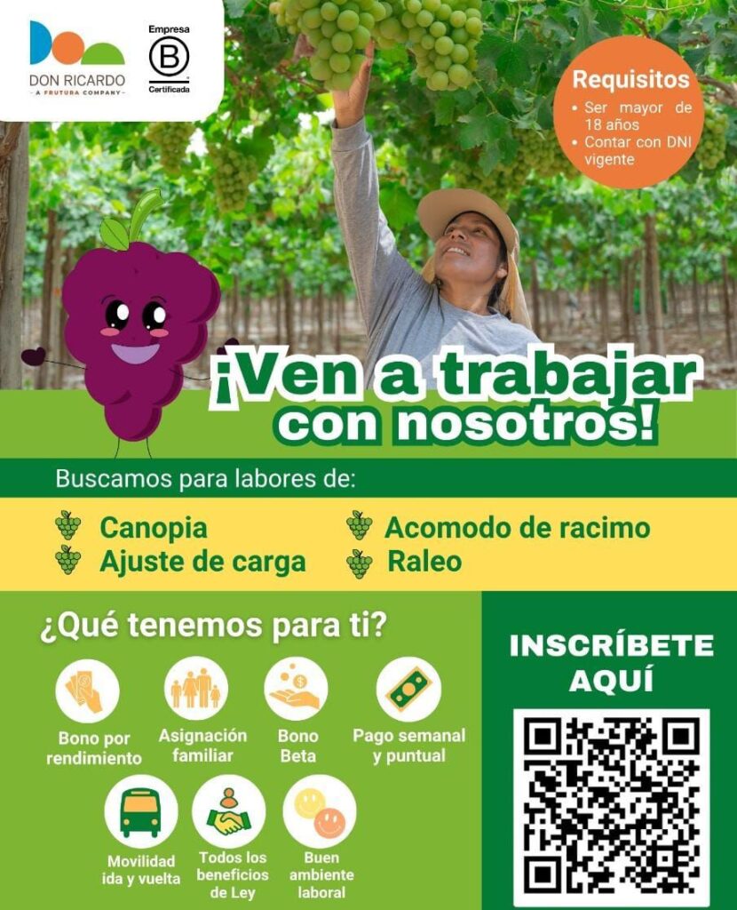 don-ricardo-raleo-trabajar
