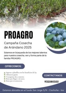 proagro-cosecha-arandano