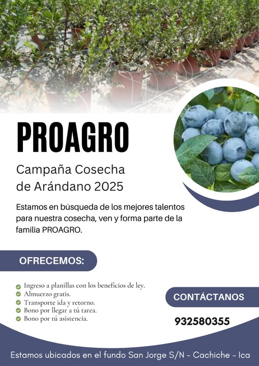 proagro-cosecha-arandano