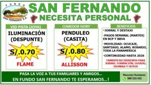 sanfernando-uva-labores