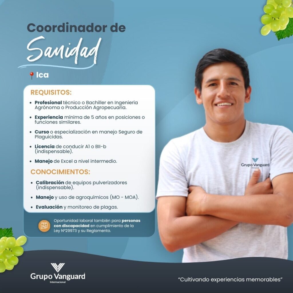 Coordinador de Sanidad para unirse a nuestro equipo – Grupo Vanguard