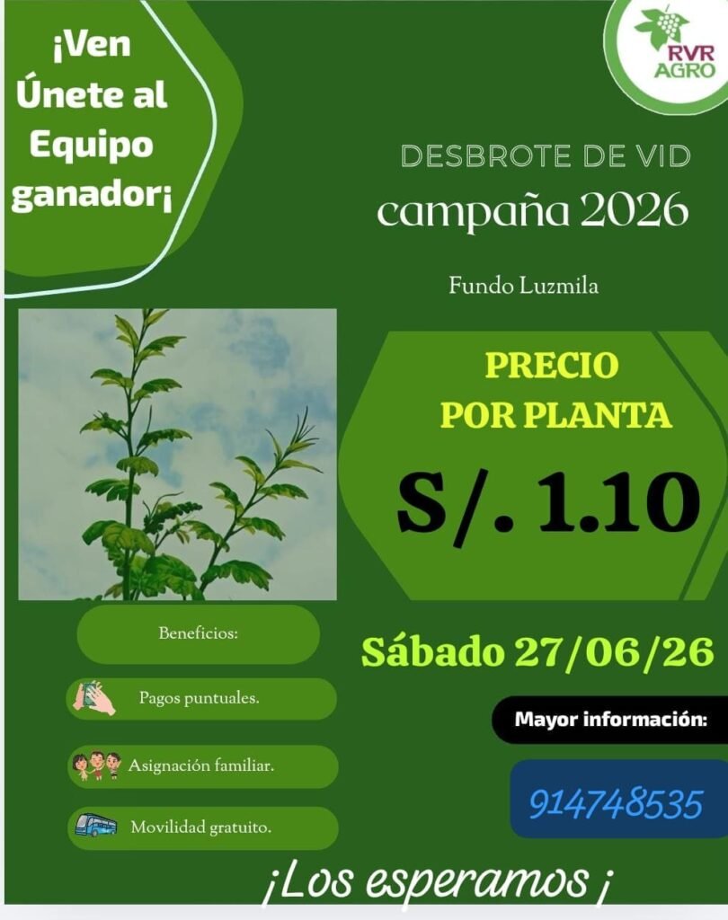 Campaña de desbrote en RVR agro – Ica