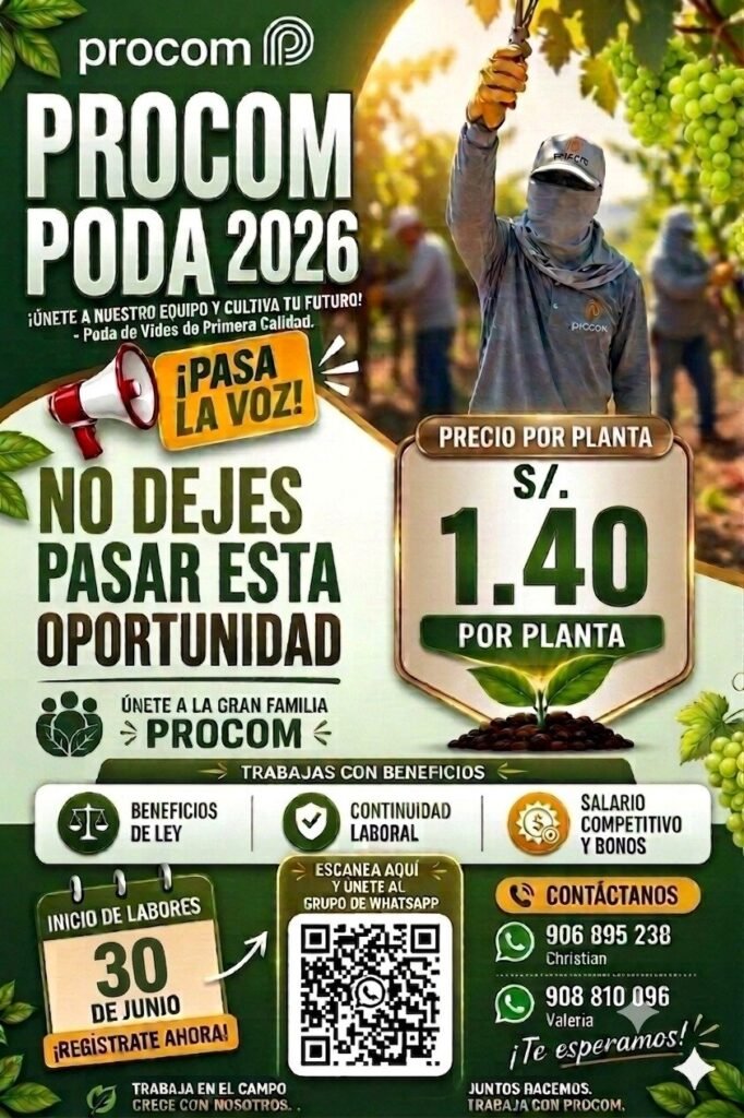 Poda de uva en Agricola Procom 2026