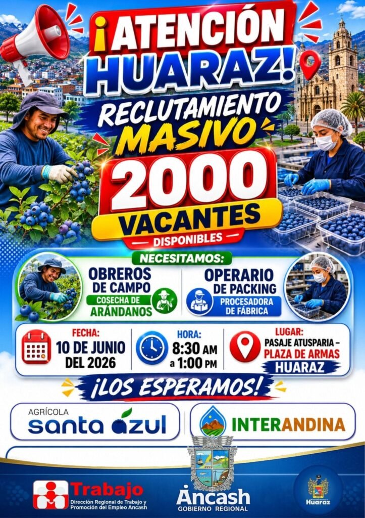 Se necesita 2000 personas para cosecha y packing de arandanos en Huaraz