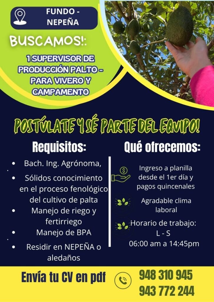 Oportunidad laboral en Fundo Los Paltos – Nepeña