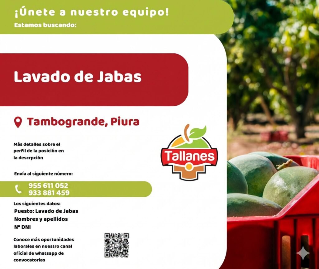 Lavado de Jabas en Tallares packer, Tambogrande, Piura
