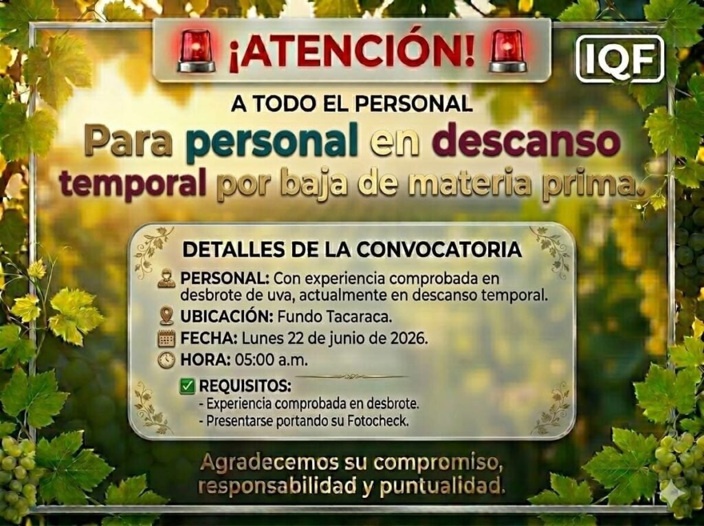 Desbrote de uva en el fundo tacaraca - Iqf - Imagen 1