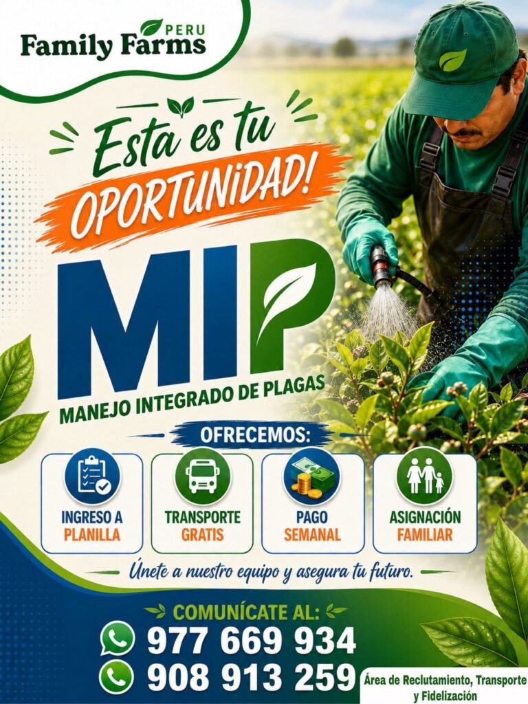 Oportunidad laboral en Family Farms Perú / Agrícola San Gallán - Imagen 2