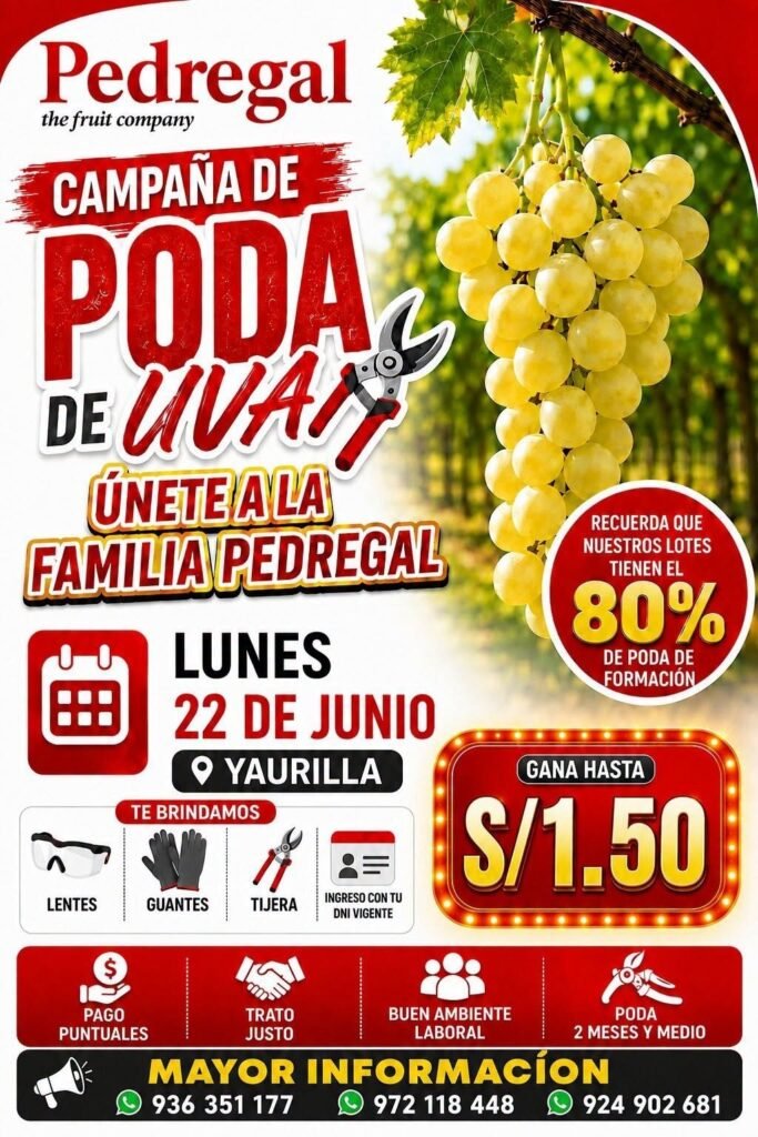 Atención podadores de uva - Pedregal te necesita - Imagen 1
