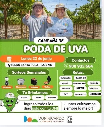 Campaña de Poda de Uva para lunes 22 de junio – Fundo Santa Rosa