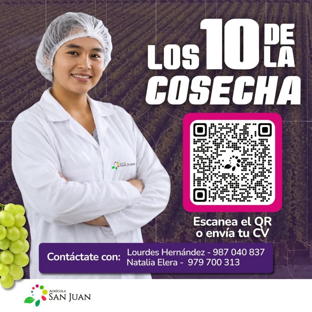 La Campaña de Packing Uva 2026 ya esta cerca en Agricola San juan