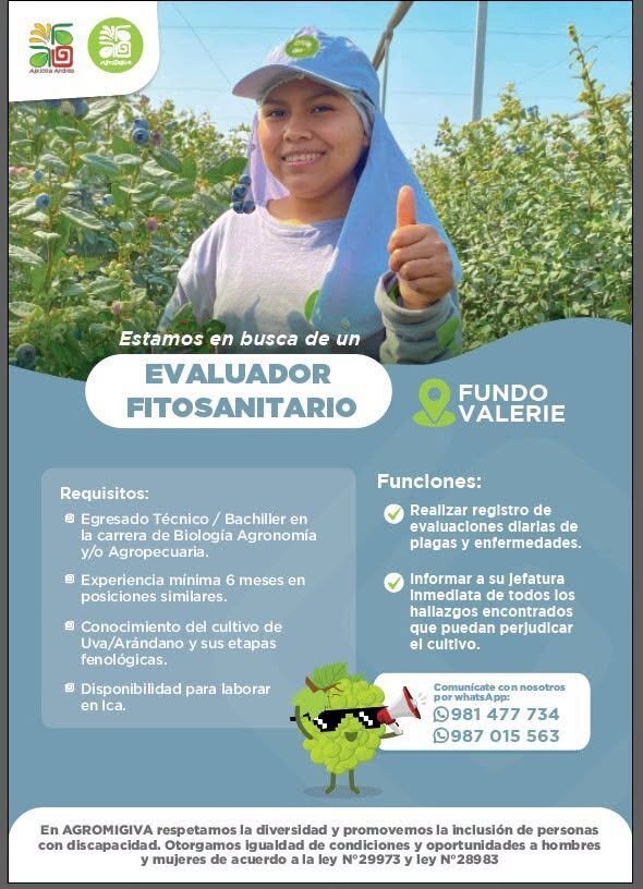 Evaluador fitosanitario para fundo Valerie – Agromigiva