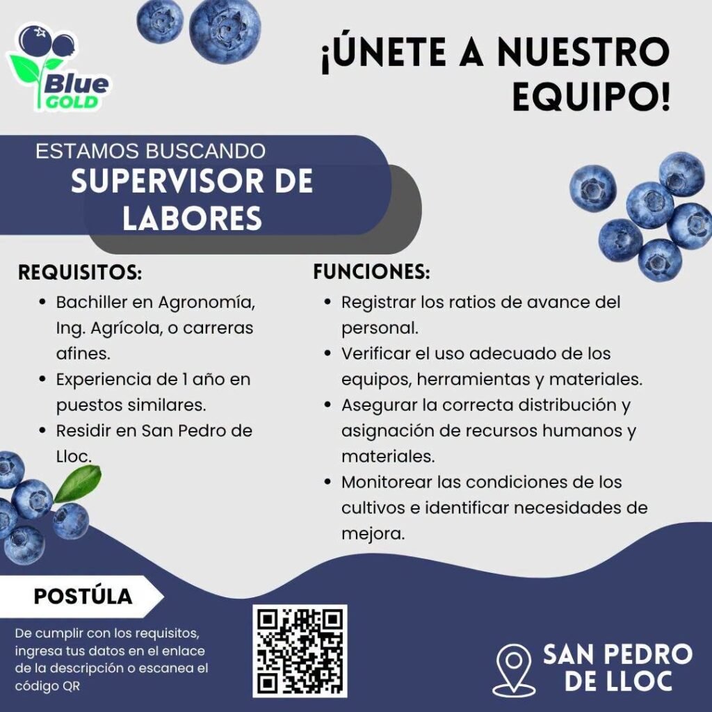Supervisor de labores para Agrícola Blue Gold S.A.C