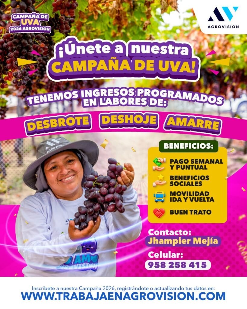 Campaña de uva 2026 en agrovision
