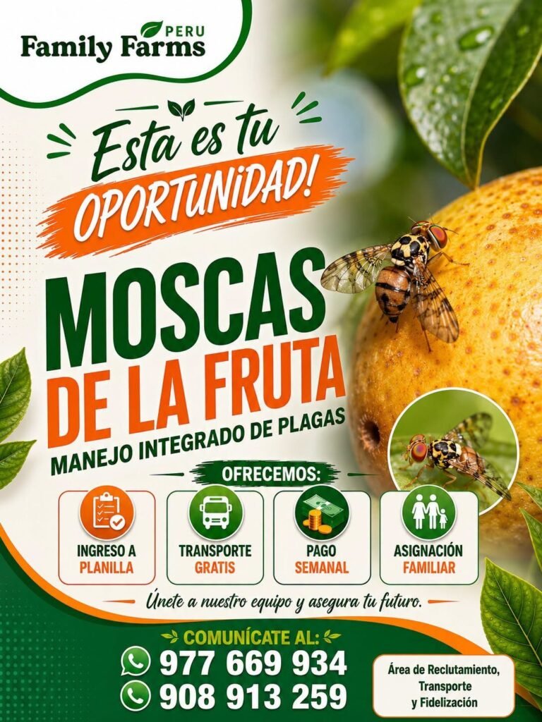 Oportunidades laborales en Family Farms