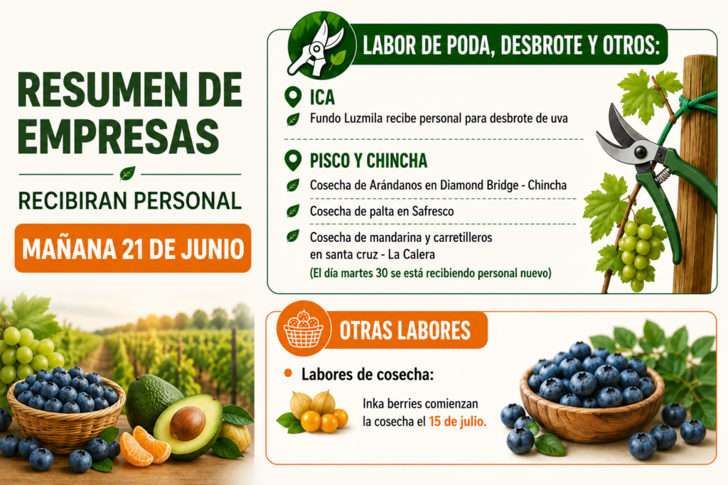Resumen de empresas que recibirán personal mañana 29 de junio