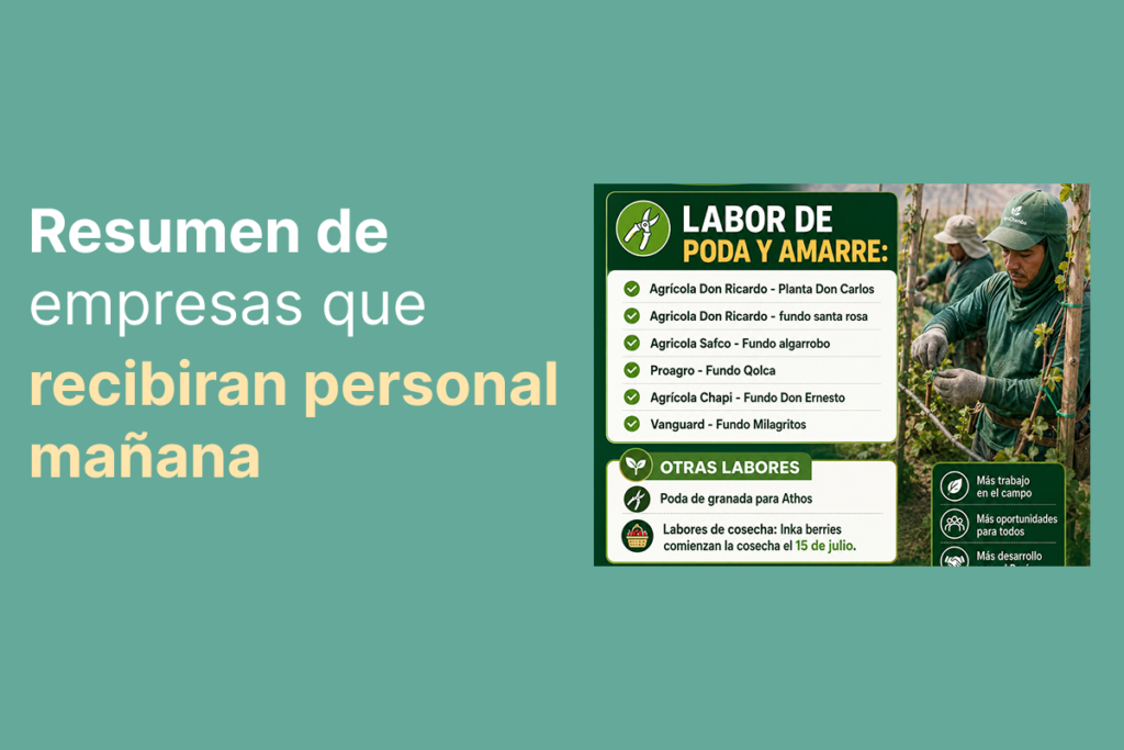 Resumen de empresas que recibiran personal mañana 15 de junio