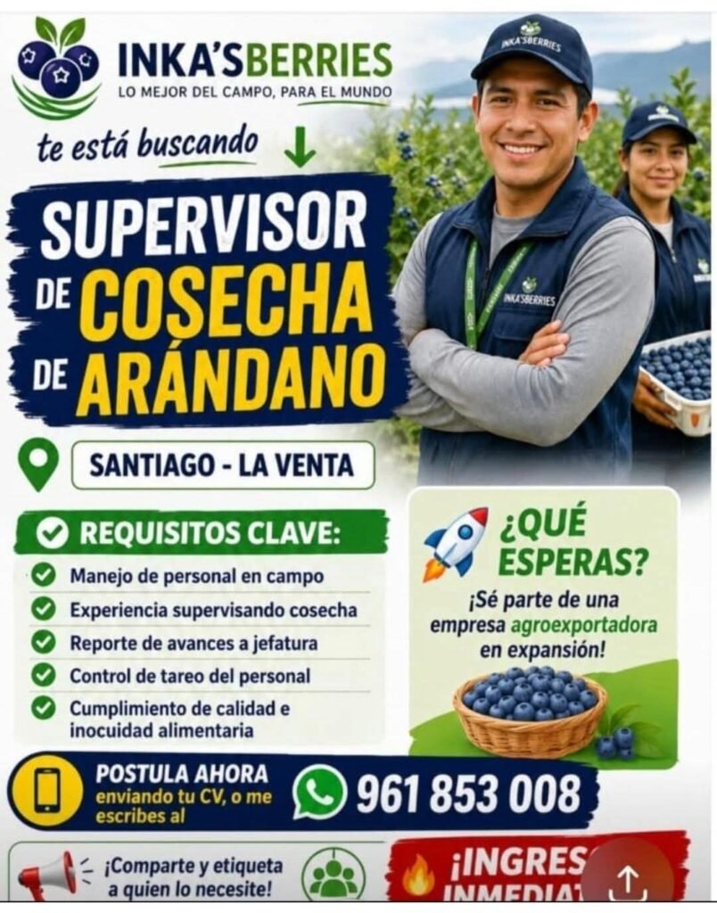 Supervisor de cosecha en Inka Berries – Ica