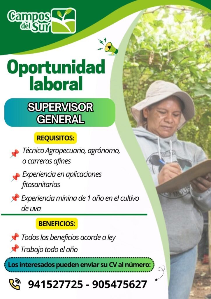 Supervisor general con enfoque en cultivo de uva – Campos del sur