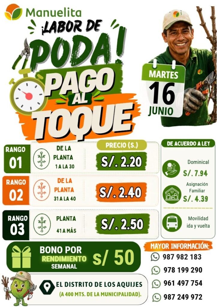 Poda de uva con pago al toque en Manuelita mañana 16 de junio