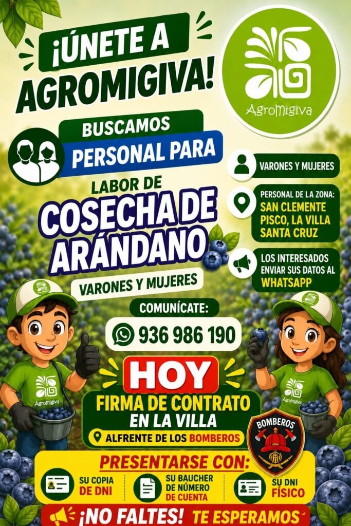 Personal para cosecha de Arandanos en Agromigiva