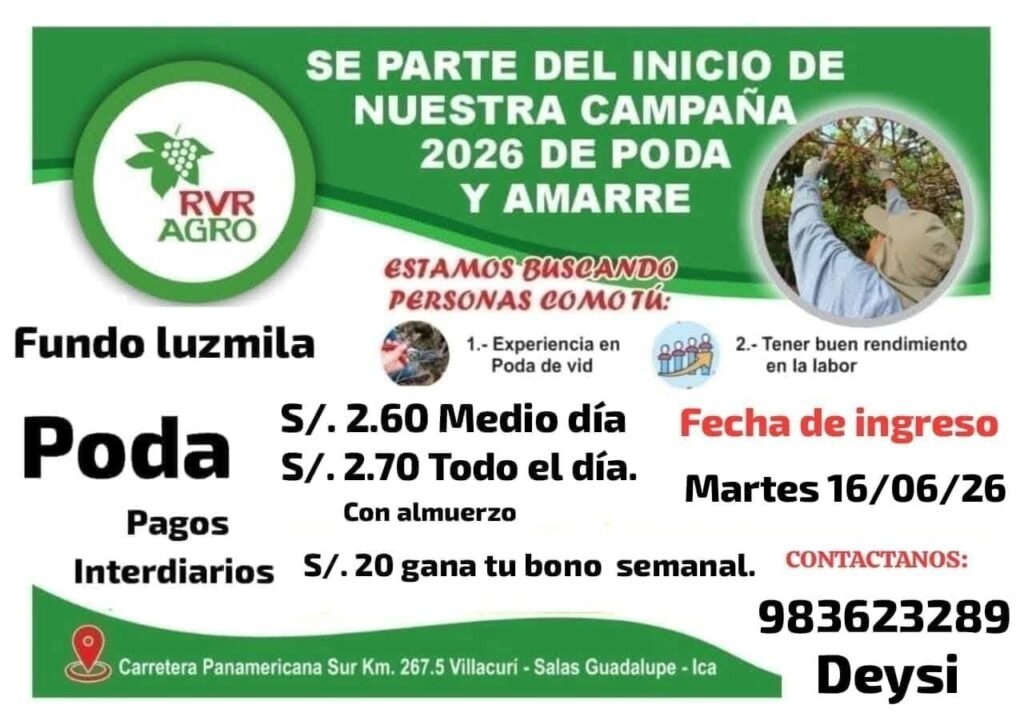 Poda de uva en RVR agro mañana 16 de junio