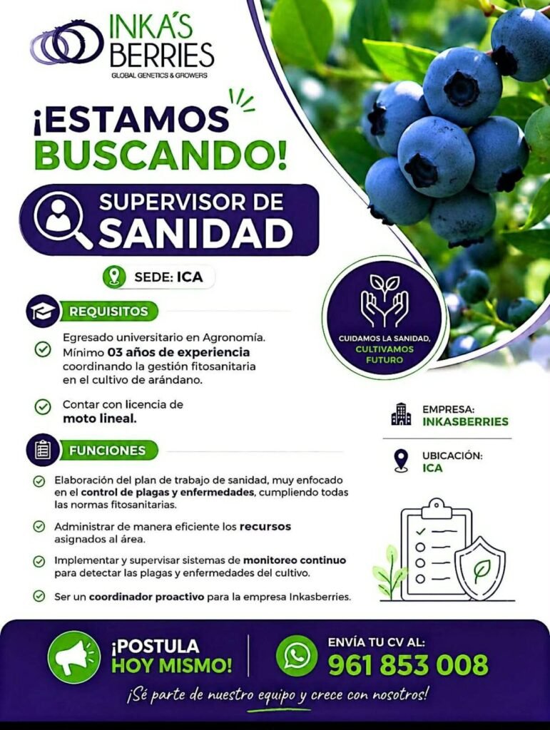 Supervisor de Sanidad para Cultivo de Arándano en Ica