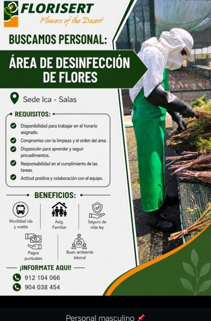 Oportunidad laboral en FLORISERT – Ica - Imagen 4