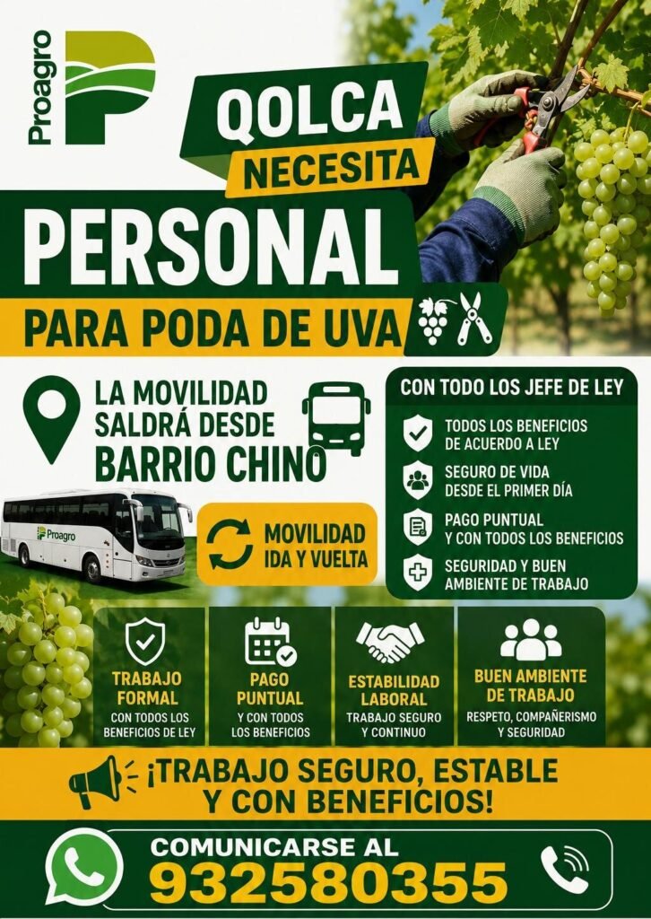 Personal para Poda de Uva en Barrio Chino, Ica