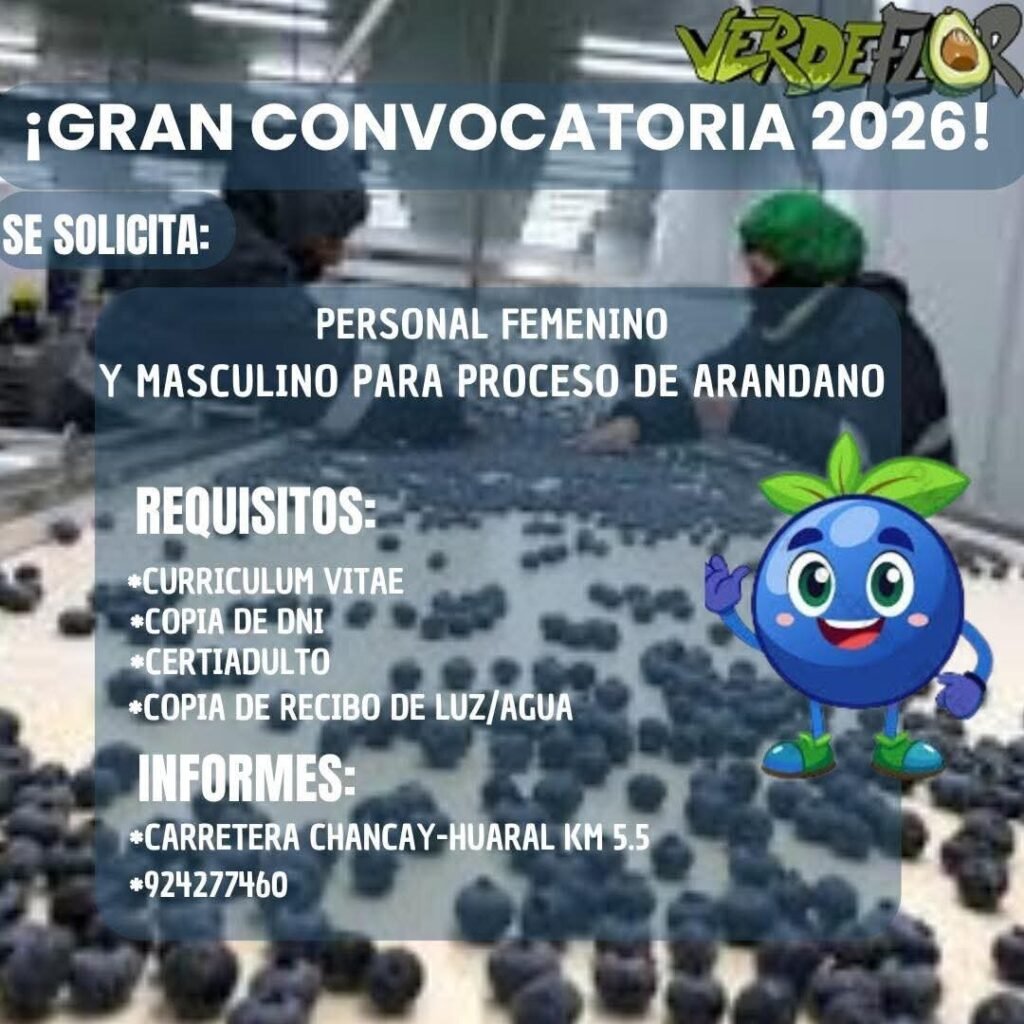 Trabajadores para Proceso de Arándano en Chancay, Huaral