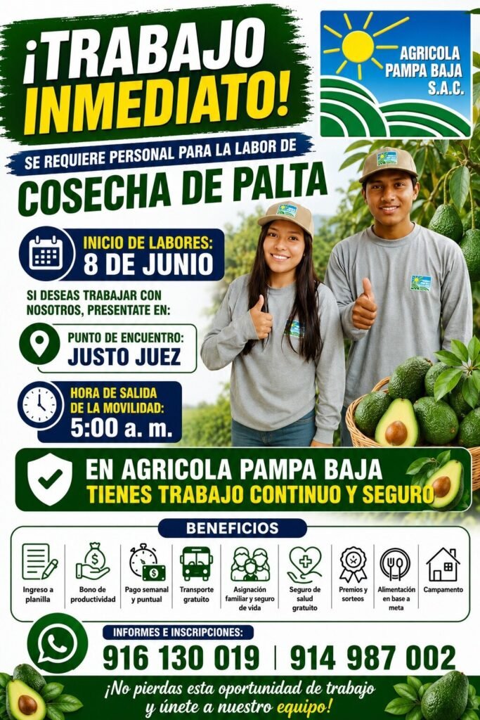 Oportunidad laboral inmediata – Agrícola Pampa Baja S.A.C. - Imagen 2
