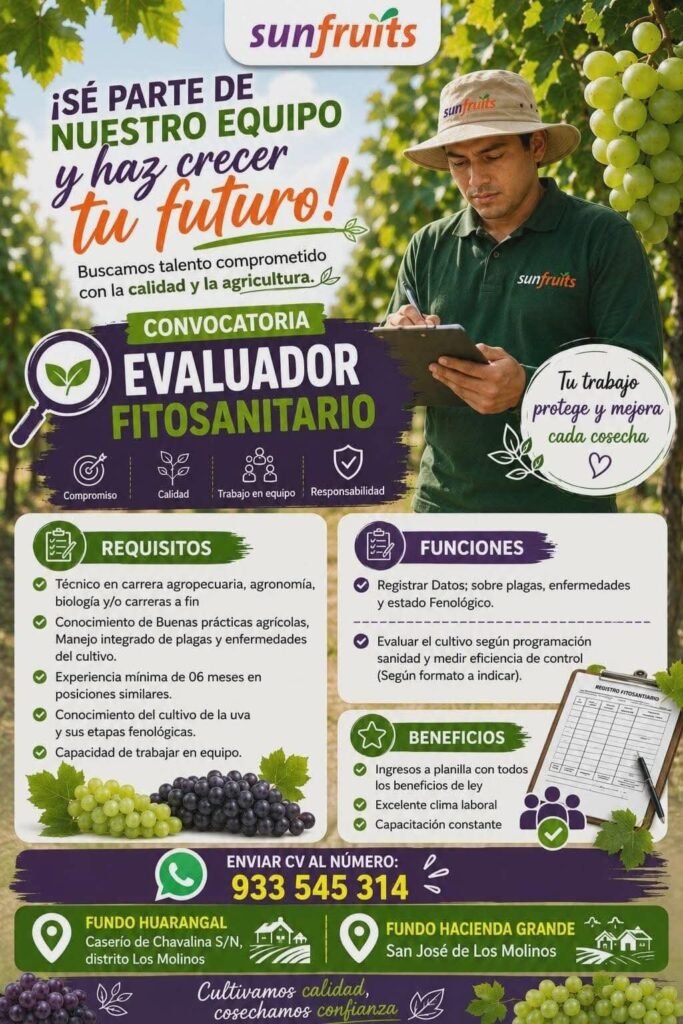 Evaluador Fitosanitario para Fundo Huarangal en Los Molinos – Sunfruits ñ